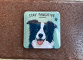 Stay Pawsitive Magnet