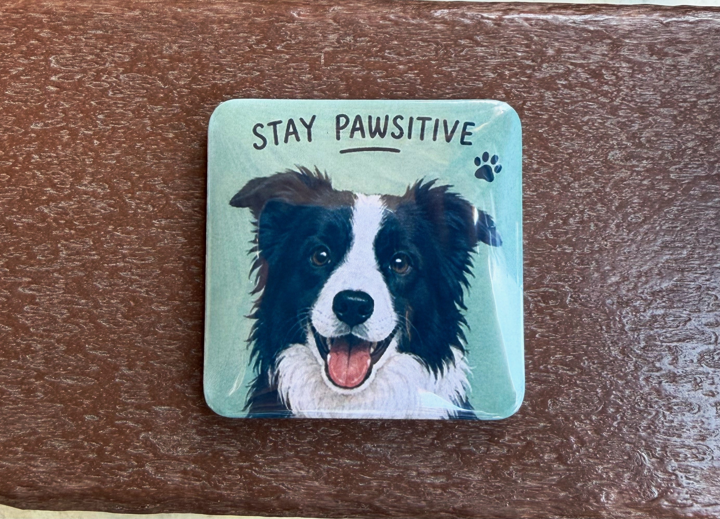 Stay Pawsitive Magnet