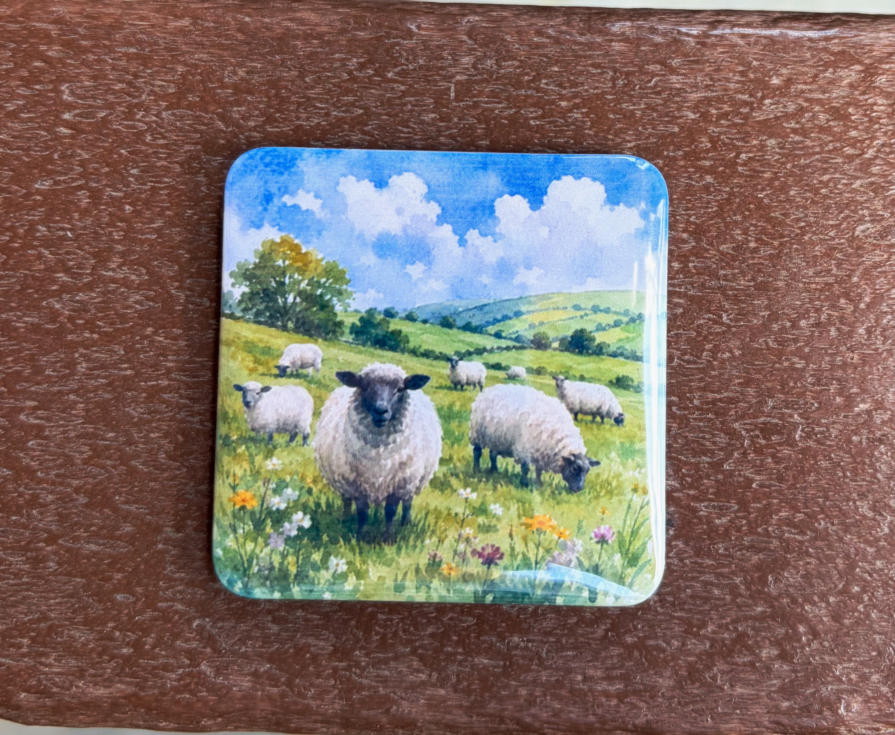 Sheep Magnet