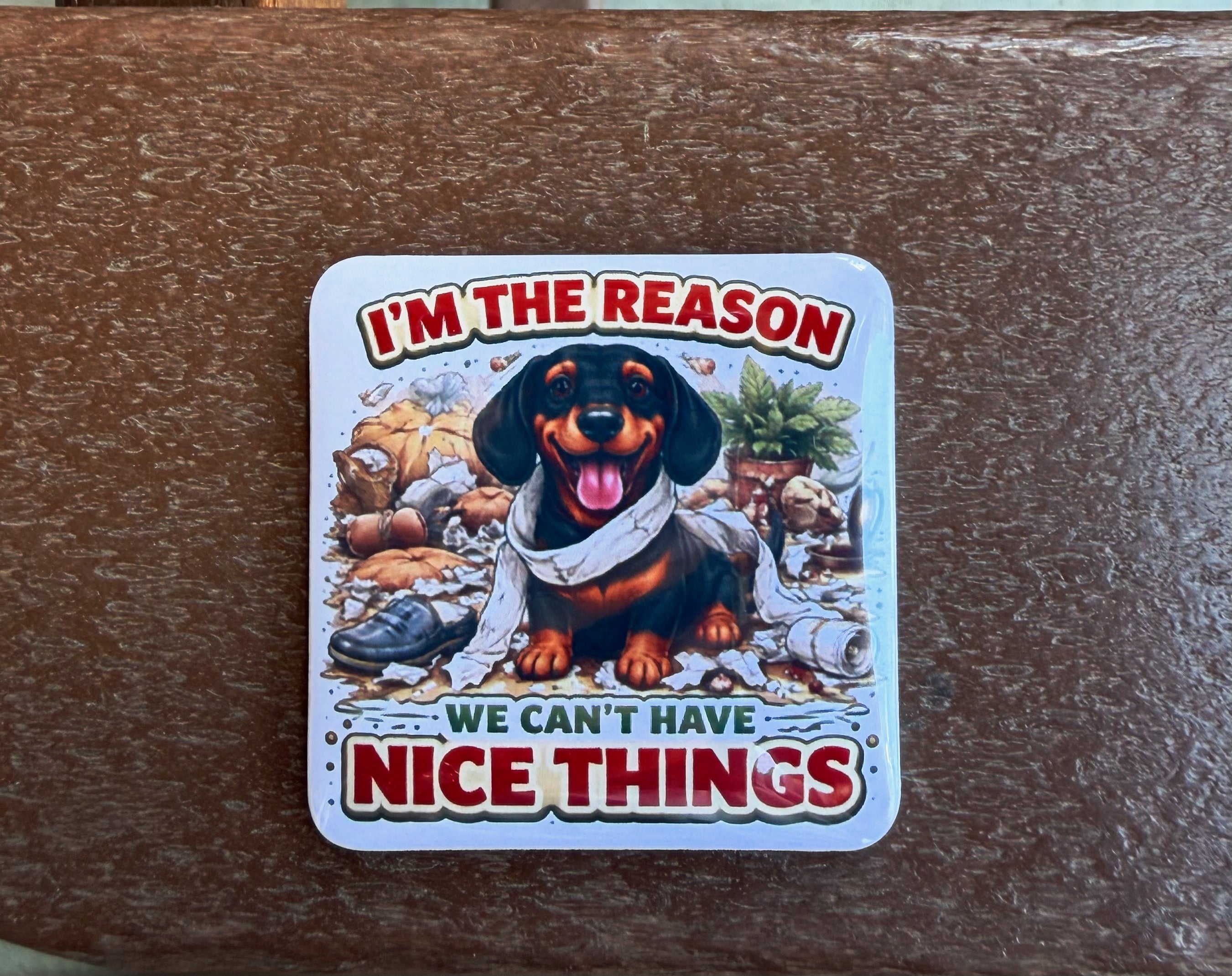 I'm The Reason We Can't Have Nice Things Magnet