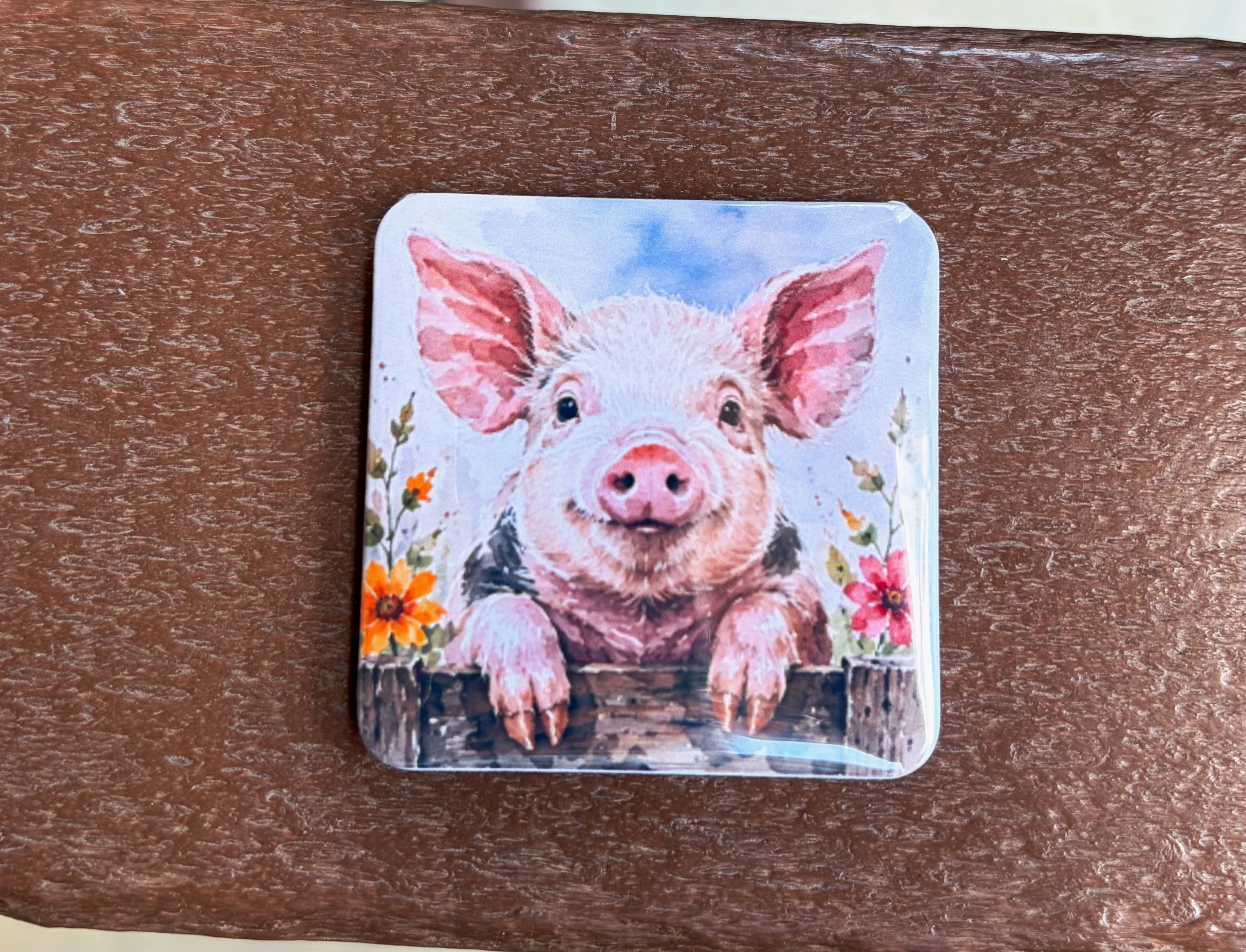 Pig Magnet