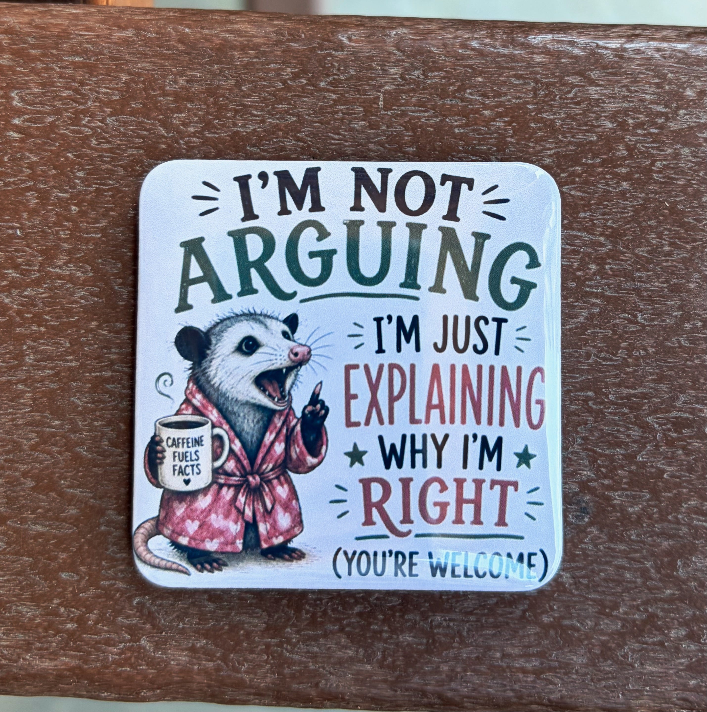 I'm Not Arguing Opossum Magnet